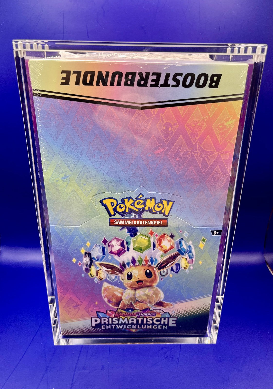 Acryl Case "Pokémon" Größe: Booster Bundle Case Typ 1