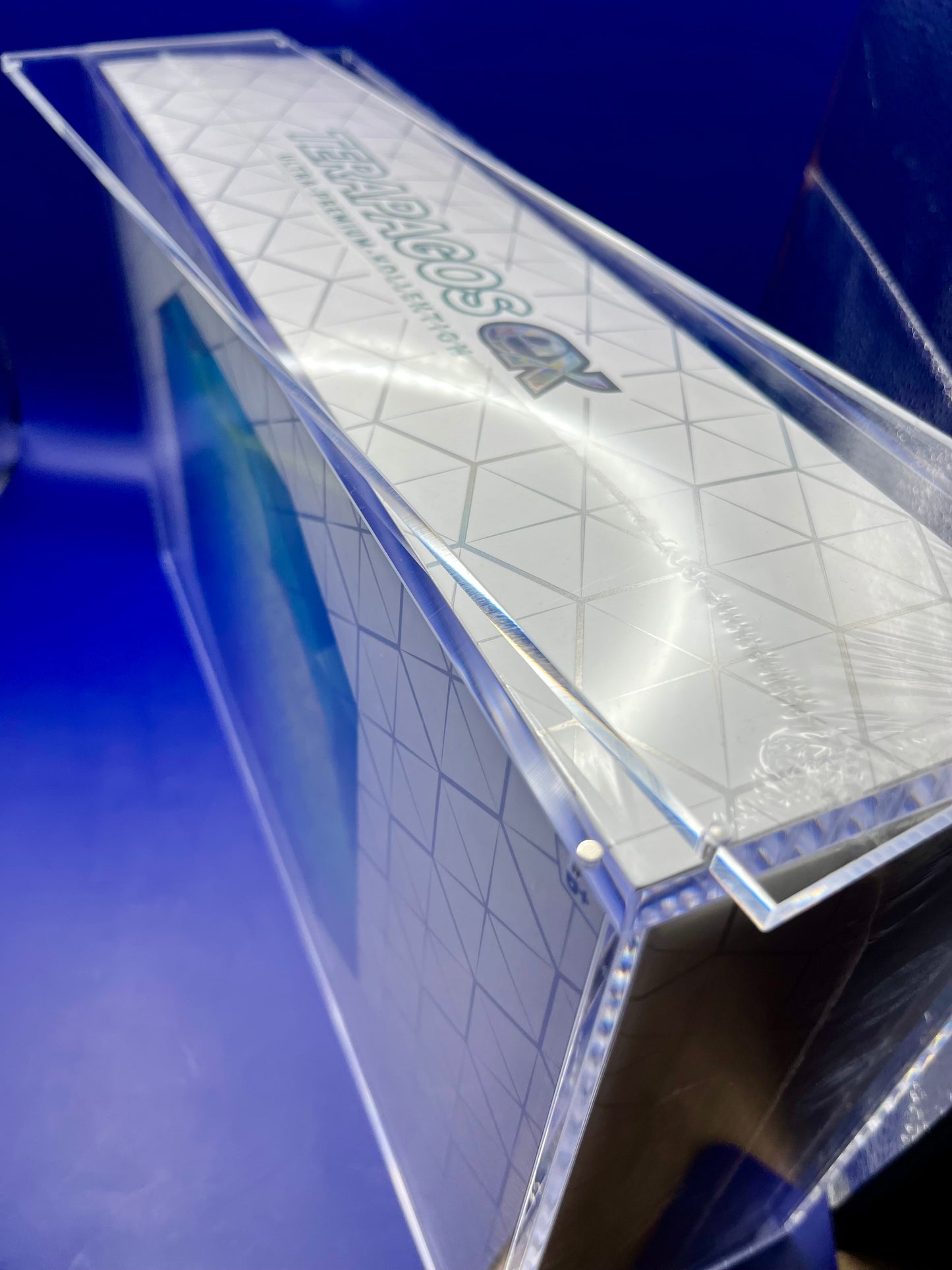 Acryl Case "Pokémon" Größe: Terapagos UPC