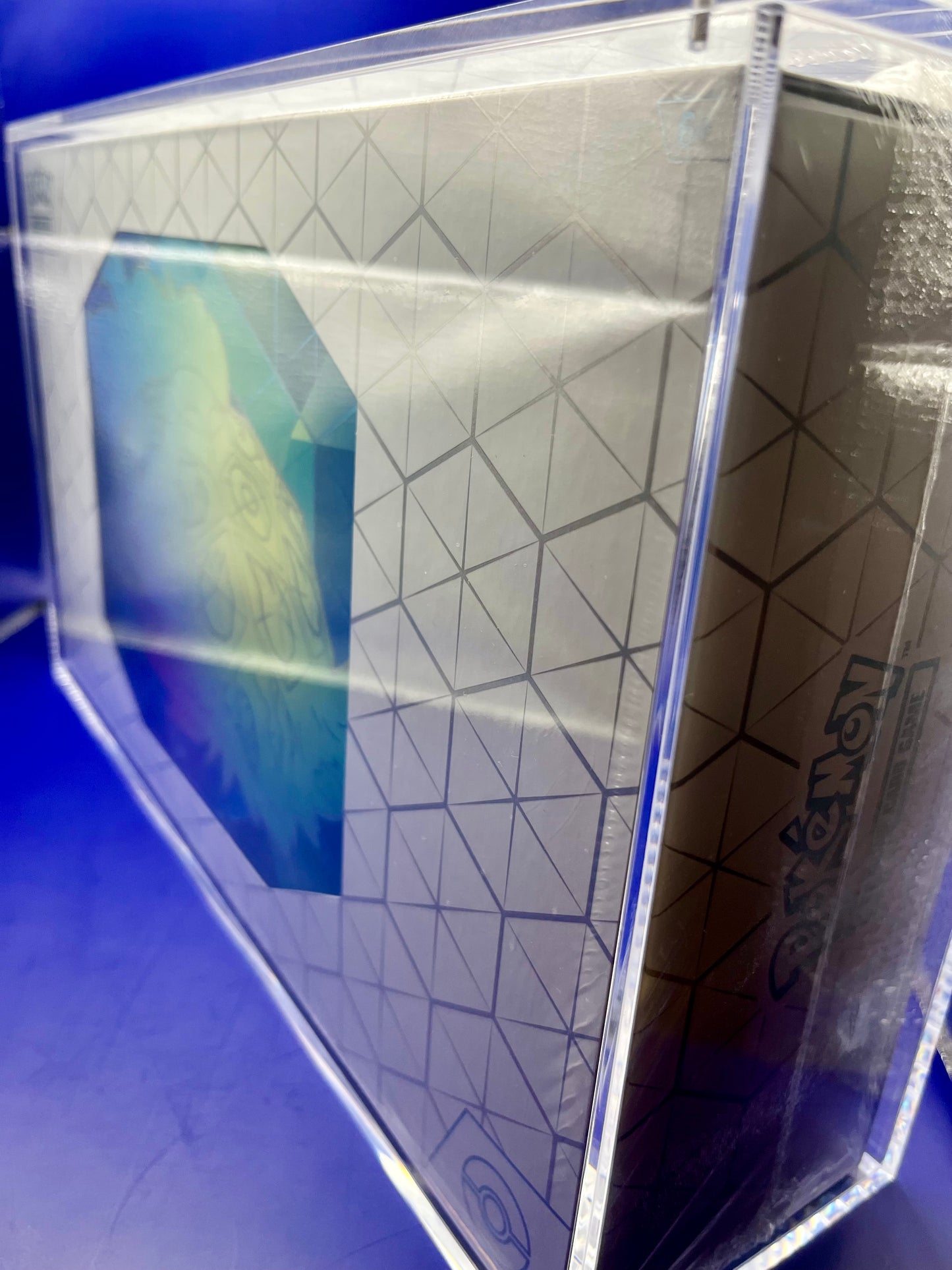 Acryl Case "Pokémon" Größe: Terapagos UPC