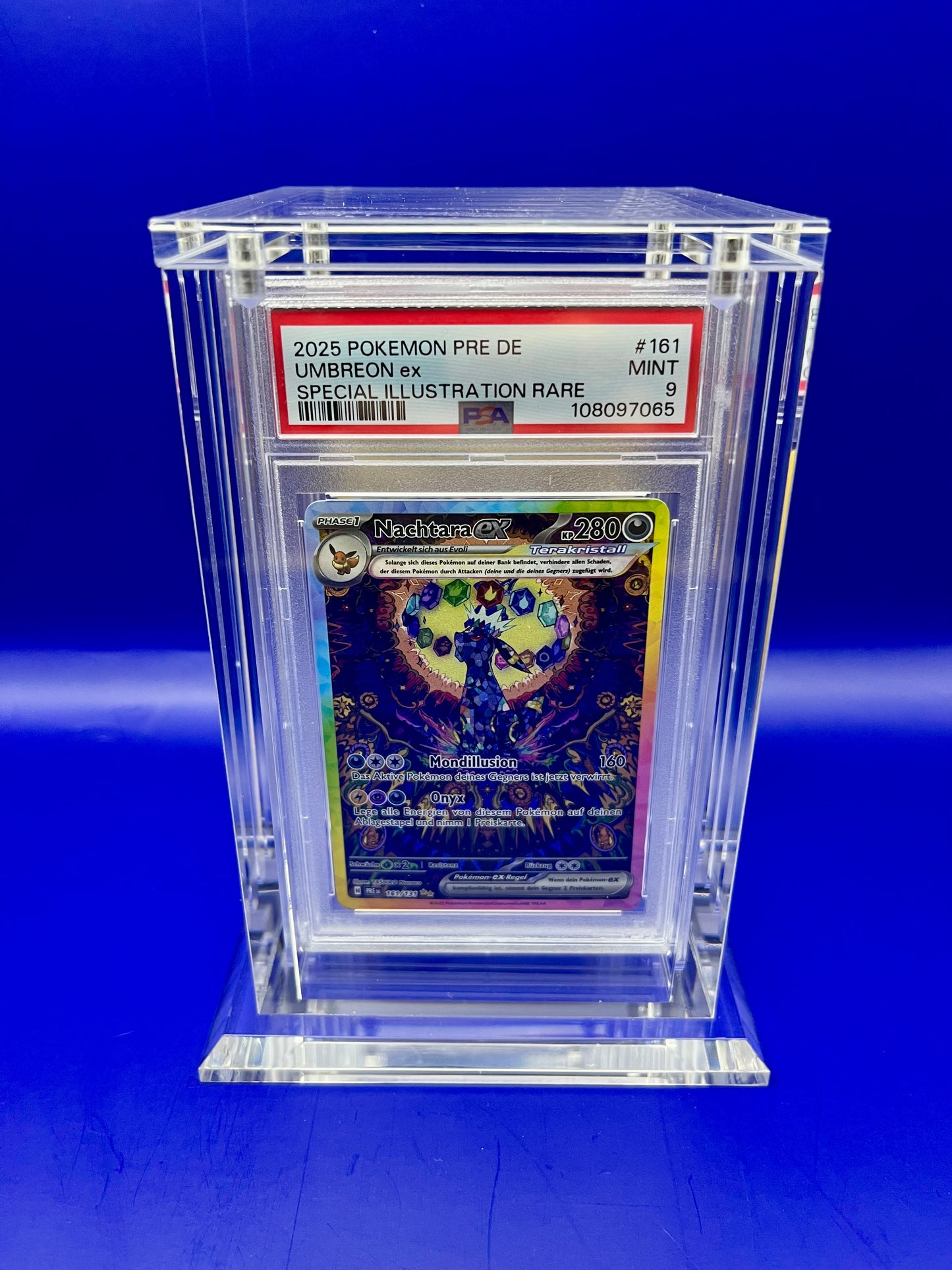 Acryl Case "PlayCollectTrade" Größe: 5er Ständer